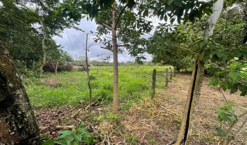 VENDO FINCA EN TAURAMENA
